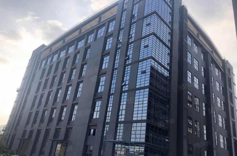 全新现代化厂房出租，首层9.2米高，租金楼上价