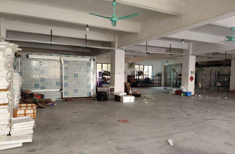 东城下桥水果市场附近冷库 一楼2000平方 可分租 价格好谈