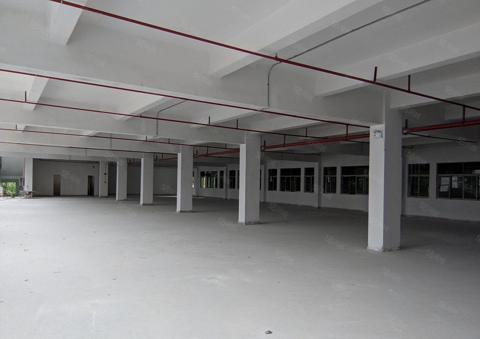 东城花园式厂房出租一楼800平方，二楼400平，地段好！