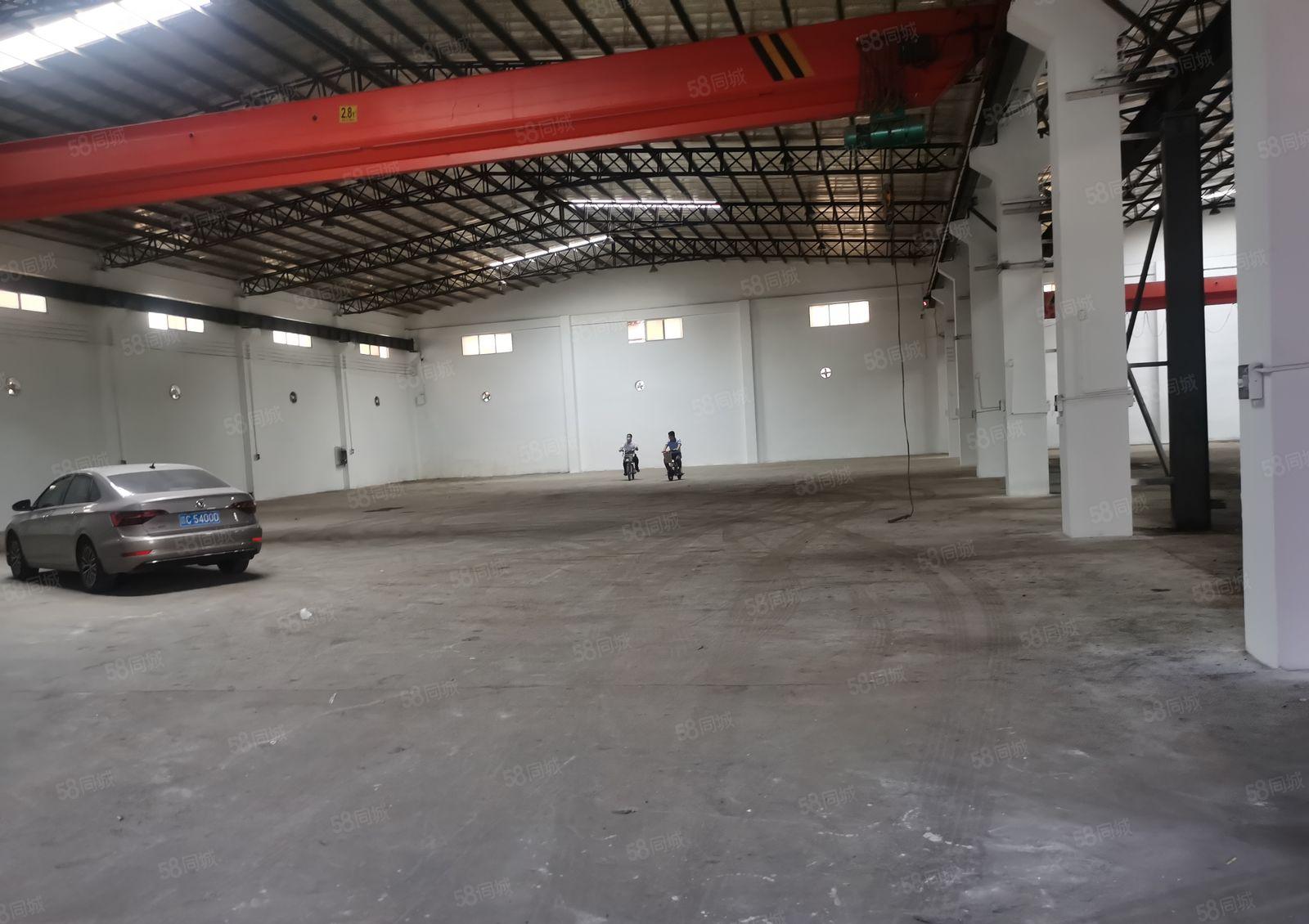 东城桑园新出独门独院单一层钢构厂房3000方，滴水八米带行吊