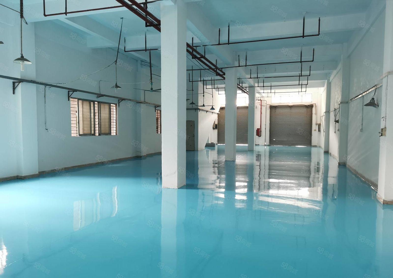 东城温塘自建厂房500方层一楼6米高，全新装修。