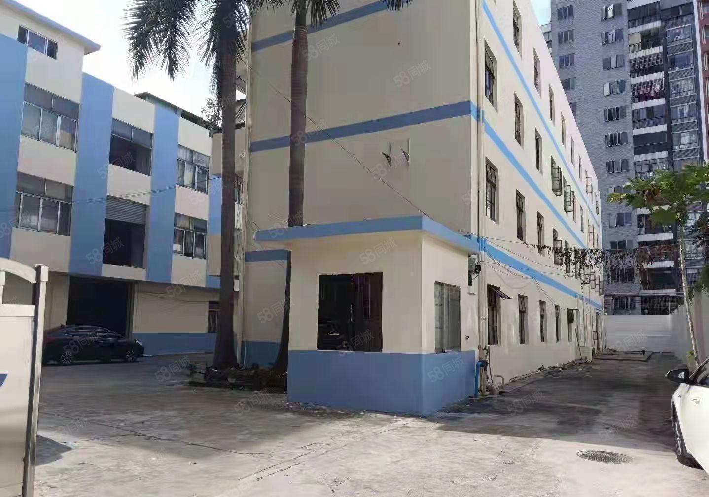 东城樟村独院厂房6500平方米招租