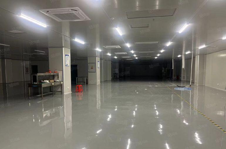 东莞东城原房东厂房出租 无尘车间 独门独院 行车 家具厂房