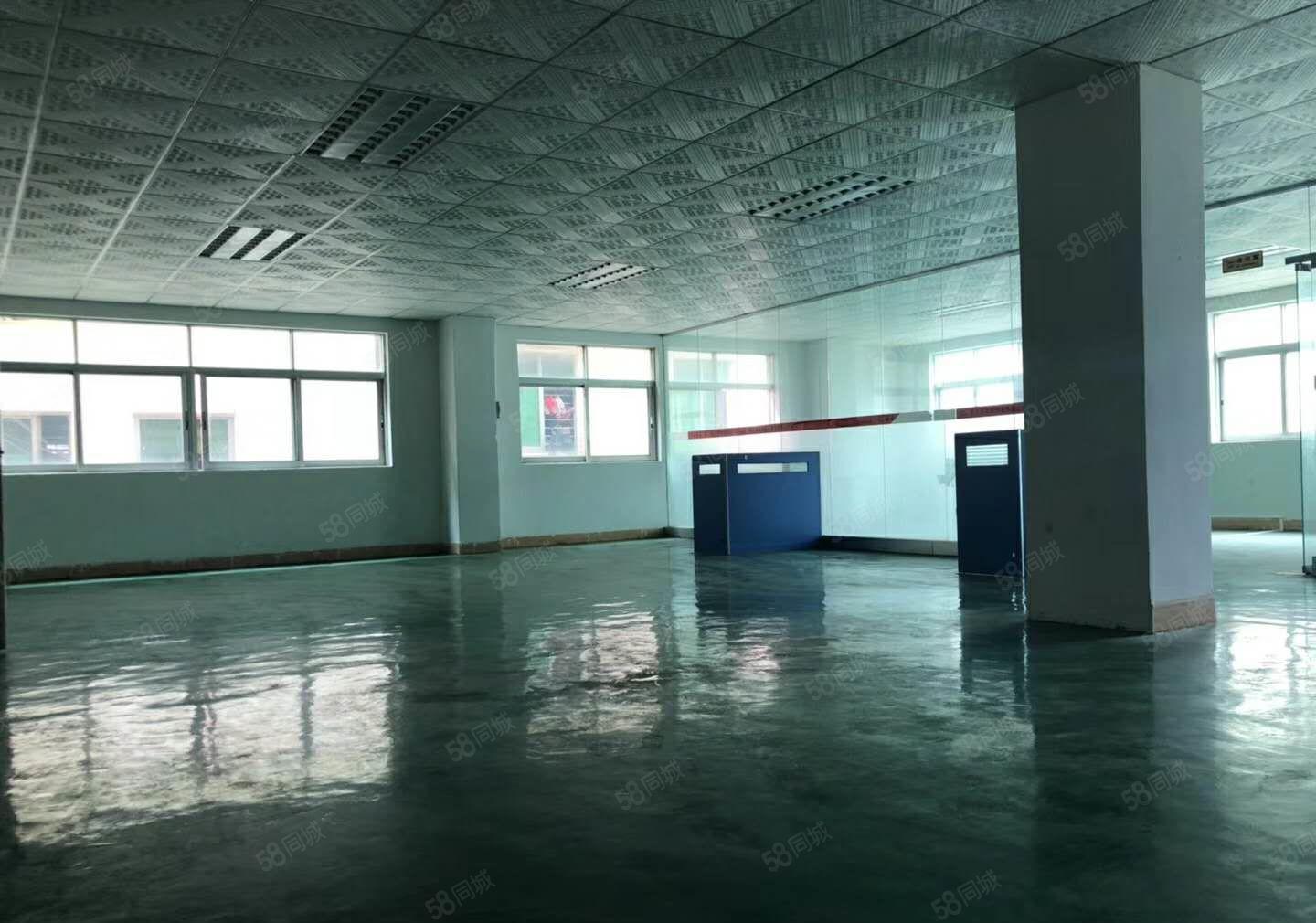 东城牛山科技园分租一楼300平，二楼600平方