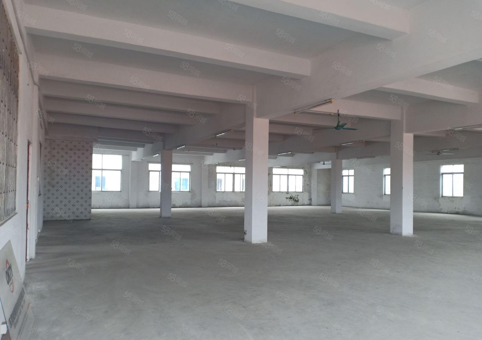 东城大井头900厂房出租