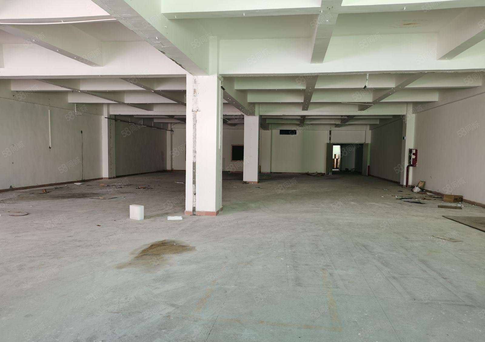 东城周屋新出楼上800平方现成办公室装修