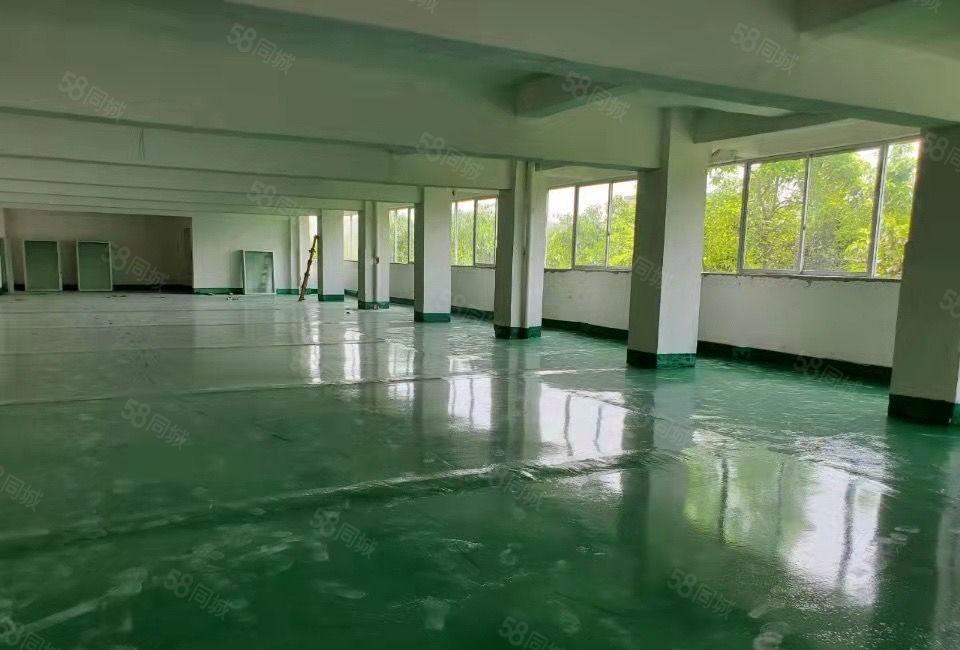 东城牛山4700方厂房分租大园区工业用地可办环评国道边