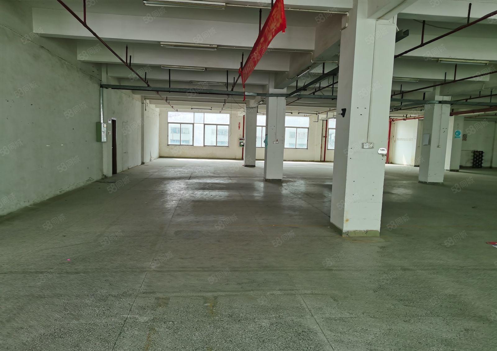 东城周屋豪华工业厂房新出二楼3200平方