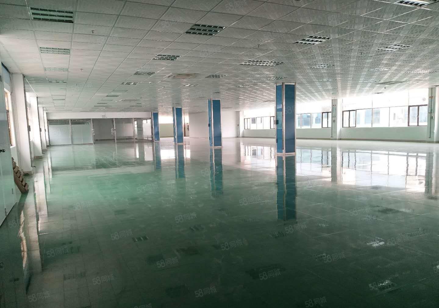 牛山 一楼 1500平 二楼 1500平，精装修，可分租