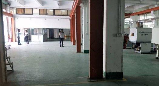 凤岗油甘铺独院带行车注塑设备机械模具厂房1600平出租