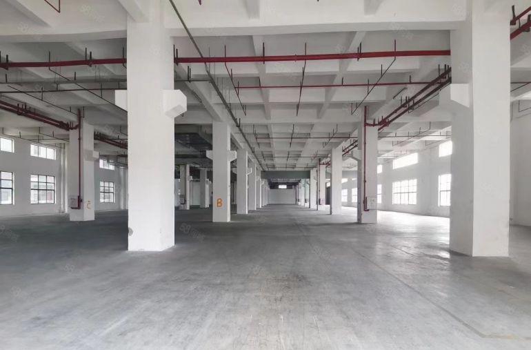 虎门8米高一楼带牛角，红本厂房，空地超大