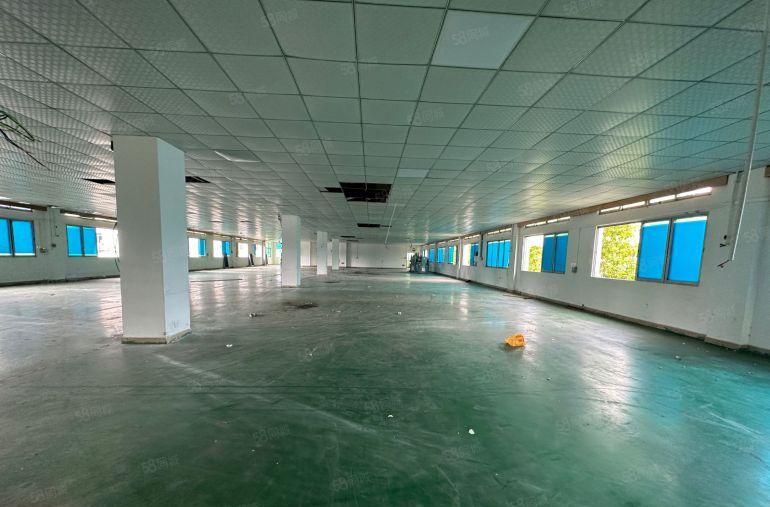 虎门雅瑶环莞快递出口新出一手业主独院5200平九成新