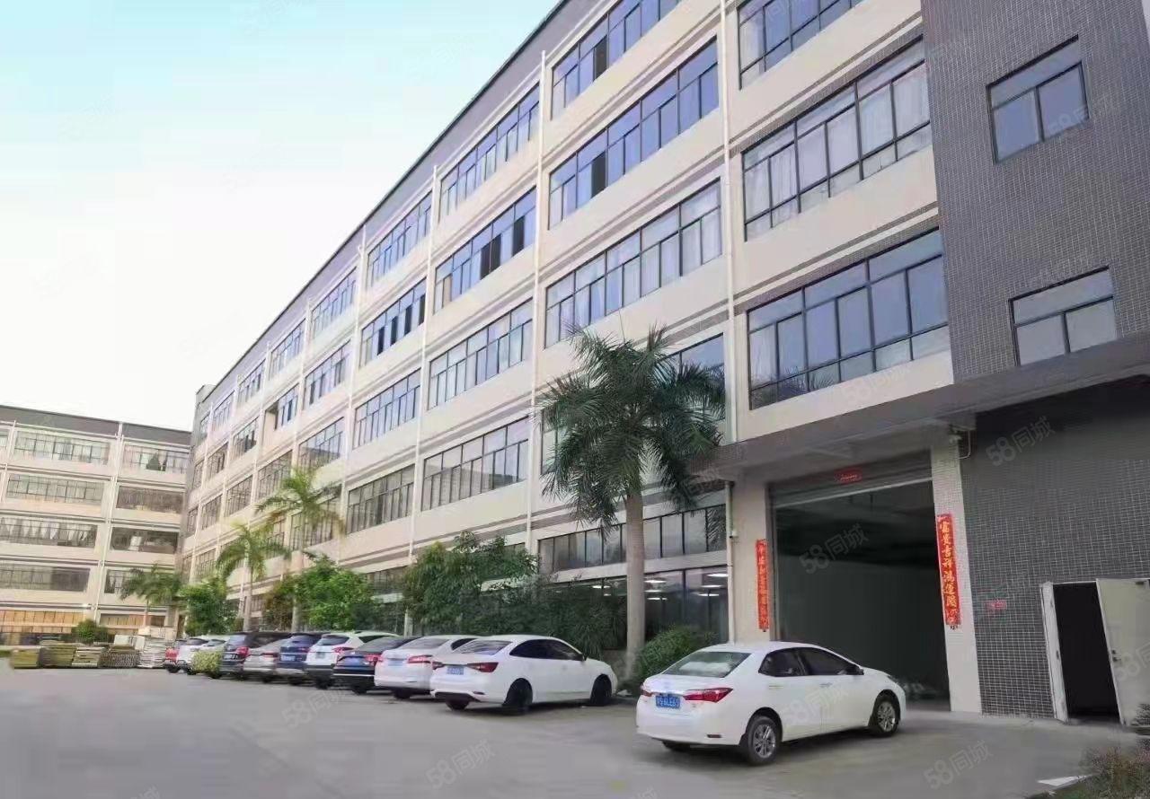 虎门怀德怀雅路新出租六楼，面积1700平方米