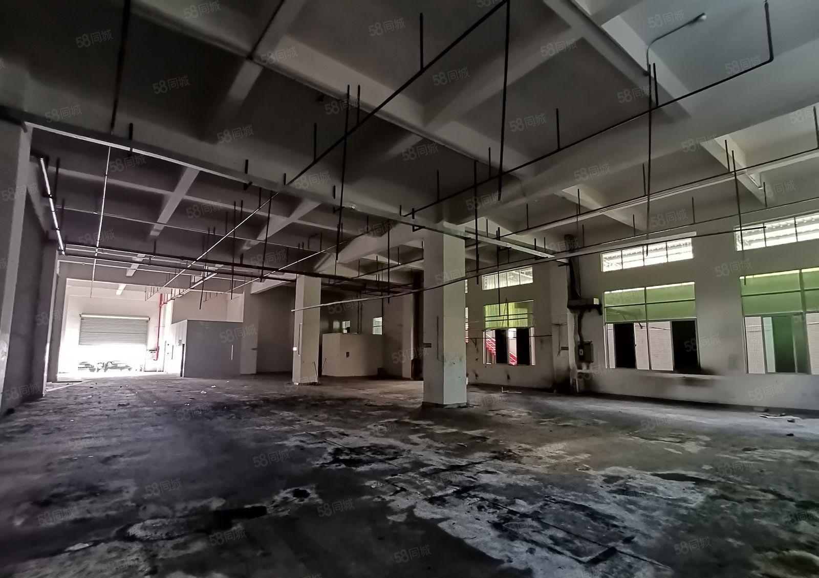 虎门怀德新出1楼1530平厂房  层高7米水电齐全带装修