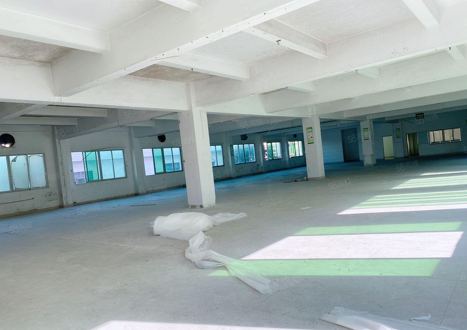 东莞虎门新出沿江高速路口独门独院1500平方厂房出租