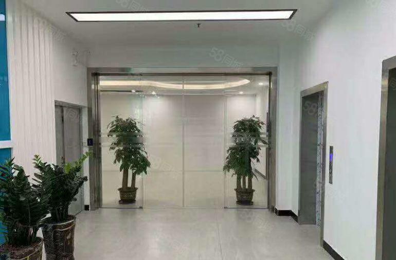 上市公司！白沙原房东12800平豪华装修独院厂房招商