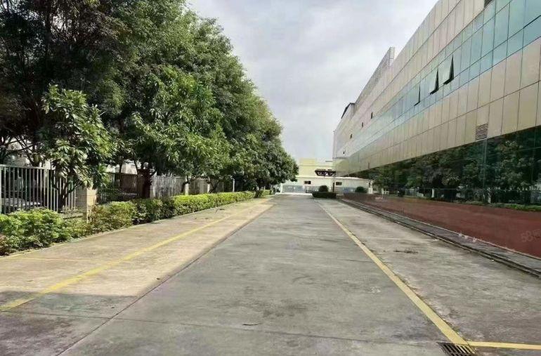 笋！南栅原房东6米高6800平豪华装修1楼3楼厂房出租啦！