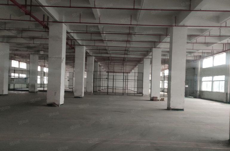 虎门龙眼原房东3000方一楼厂房出租实际面积出租到顶6米