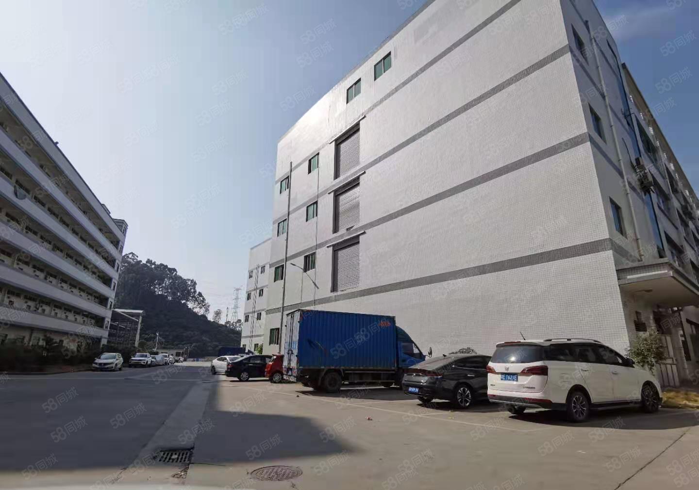 虎门手房东红本独院厂房5万平厂房仓库出租