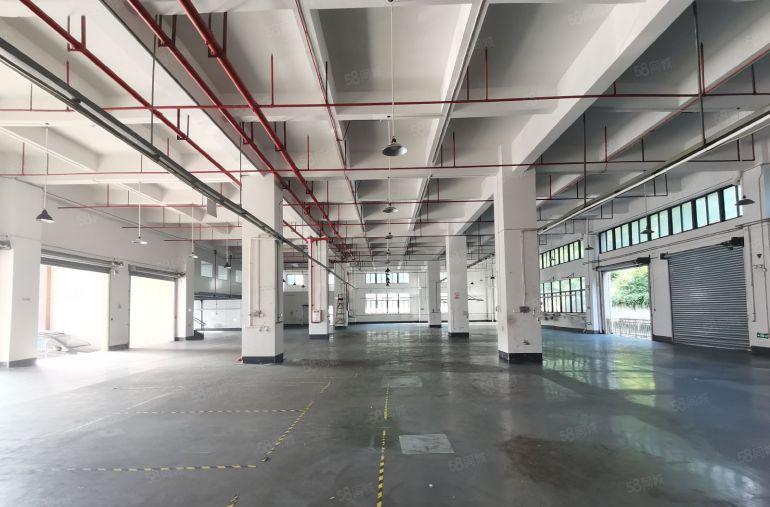 原房东独门独院厂房低价出租