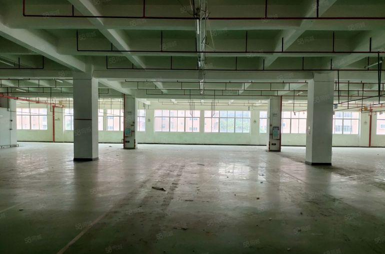 电商仓库，虎门镇三层独栋9600方仓库出租，丙二类消防喷淋