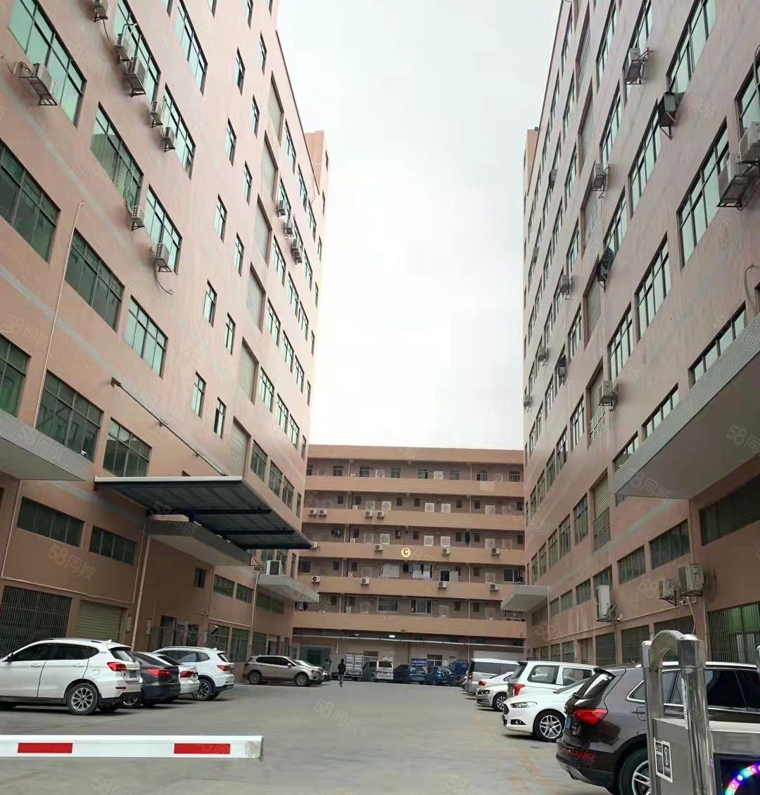 虎门南栅月底空出一楼1500平带隔楼办公室装修厂房出租