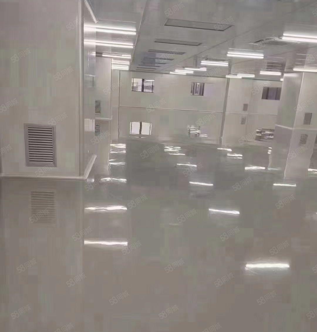 虎门镇北栅整层4500平方，报价18元有万级无尘车间