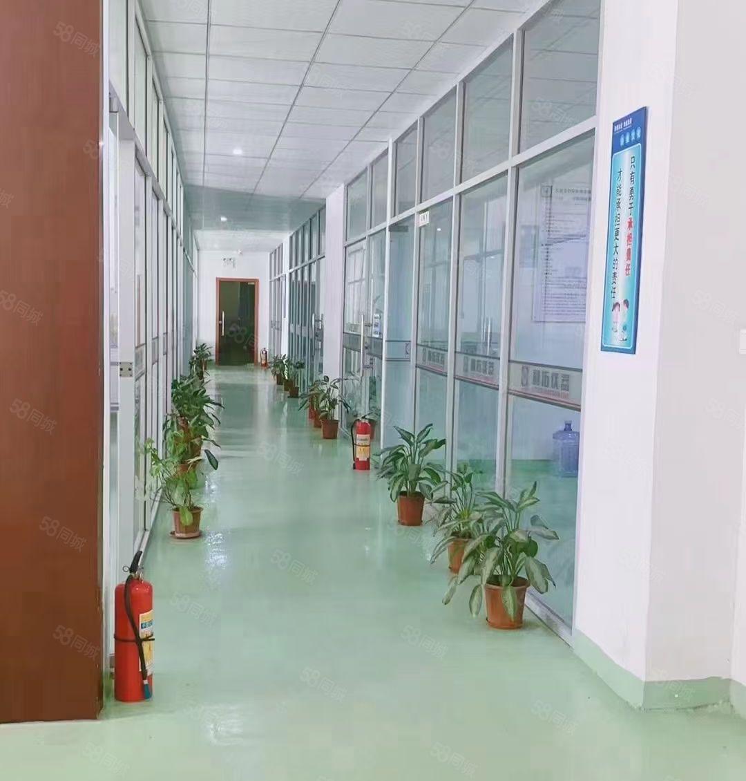 虎门龙眼园区1楼1000平 2楼1000平带装修 空地大