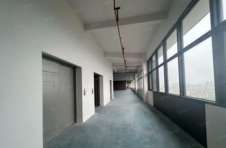 虎门原房东厂房出租底价15元免租期2个月带消防喷淋可办环评