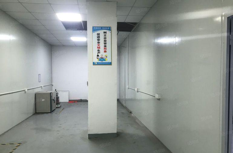 虎门镇树田临近长安一楼带水电装修厂房，适合五金电子注塑行业