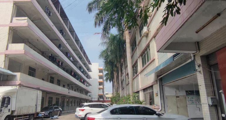 18块租一楼400平和650平！虎门大宁标准一楼厂房低价出租