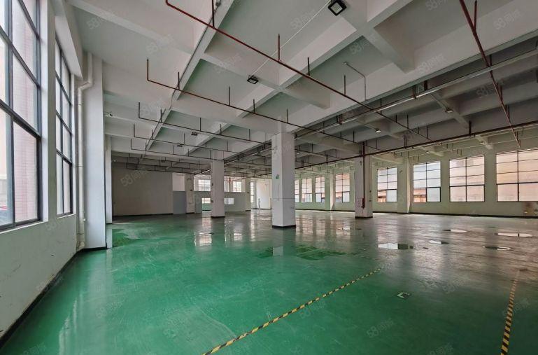 虎门镇南栅广深高速附近一楼2100平方7米高厂房出租可分租