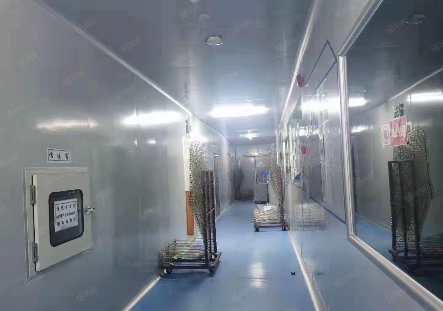 虎门怀德新出一楼1400平米，现成办公室无尘车间。