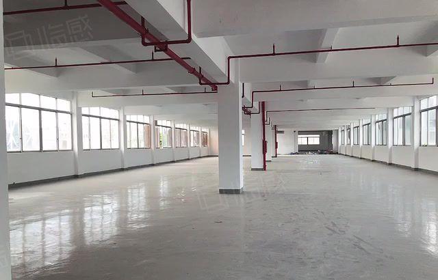 沿江高速旁虎门镇，南柵原房东独门独院厂房，带全新地坪漆