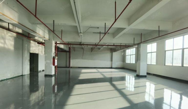 原房东9元起租！虎门新出豪华装修12000平米厂房出租可分租