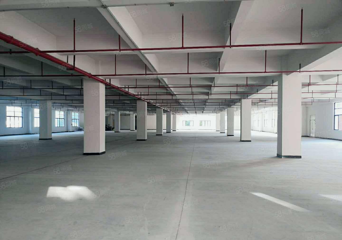 东风社区本地房东厂房招租，650平方，500平方，300平方