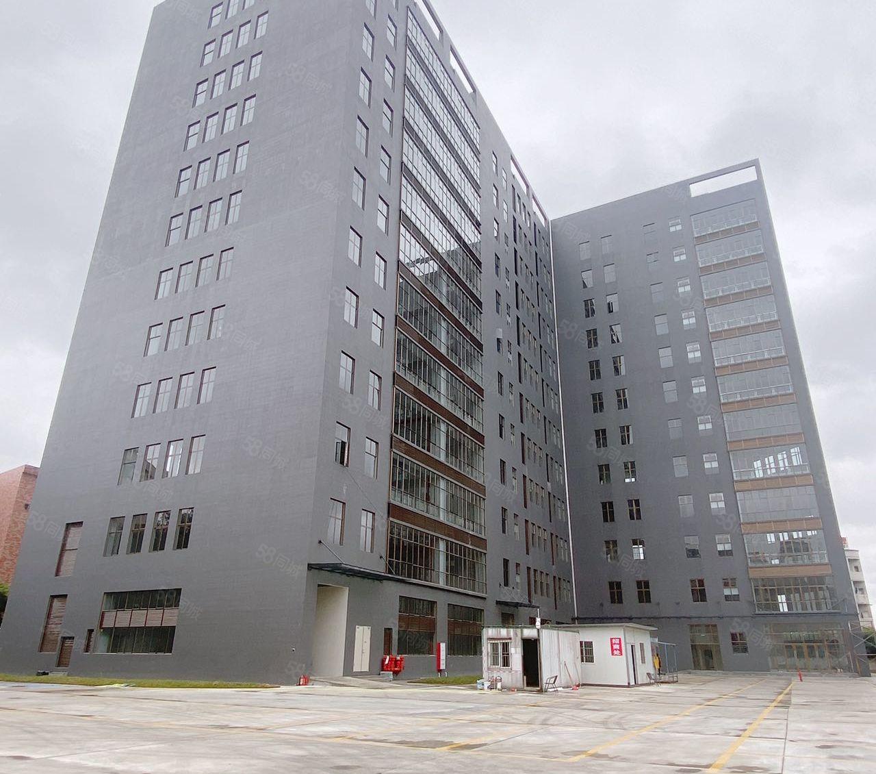 虎门北侧独门独院全新厂房可整租分租高水滴10米