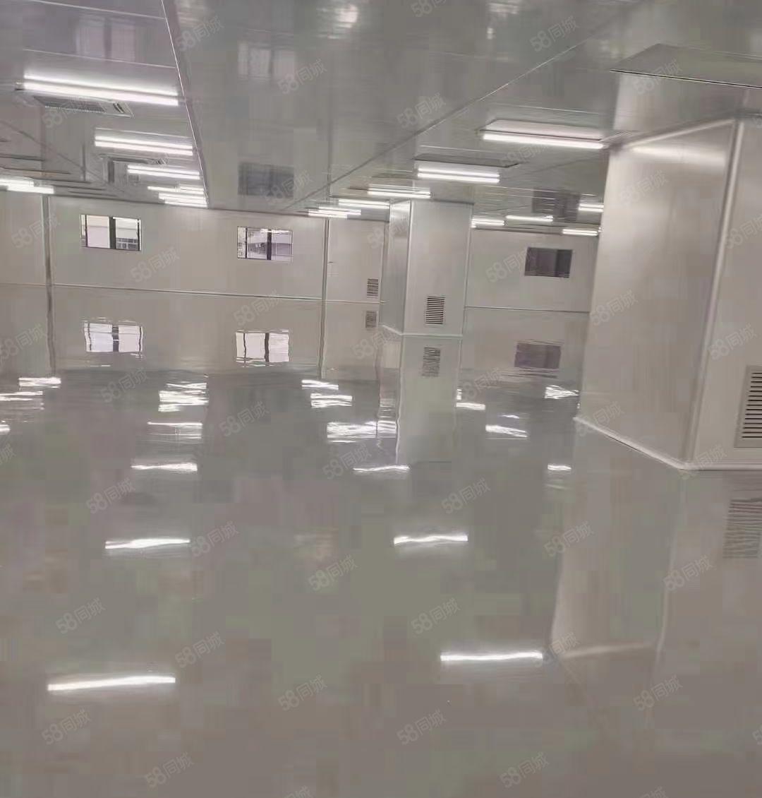 虎门镇北栅整层4500平方，报价18元有万级无尘车间