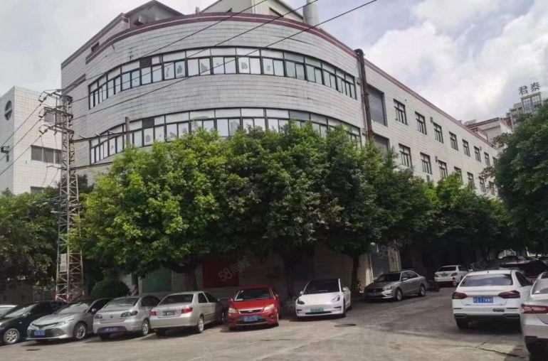 虎门金洲二区附近5000平精装修独院无公摊厂房低价出租