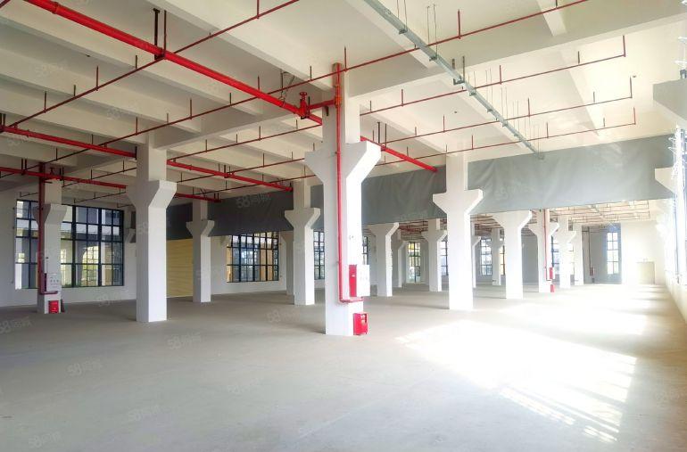 城区周边独栋厂房，可租可售，1.45万平，全新交付即买即投产