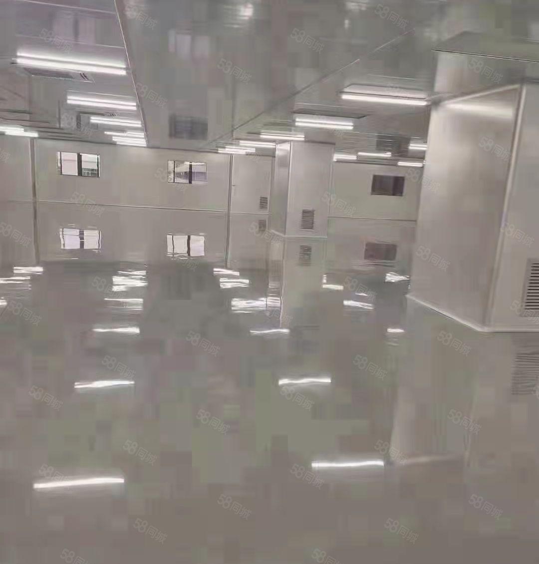 虎门独门独院18元万级无尘车间4500平方厂房出租