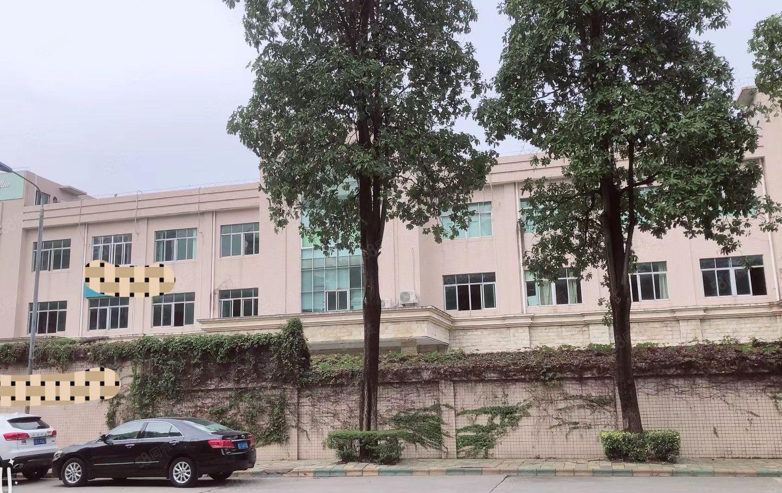 白沙新出独门独院2380平厂房出租