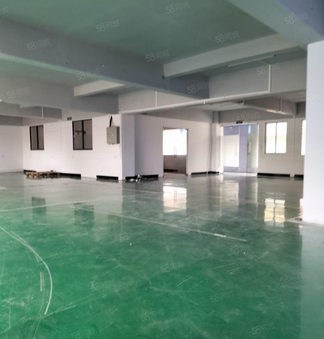 虎门白沙新空出原房东厂房4楼516平方 水电齐全！