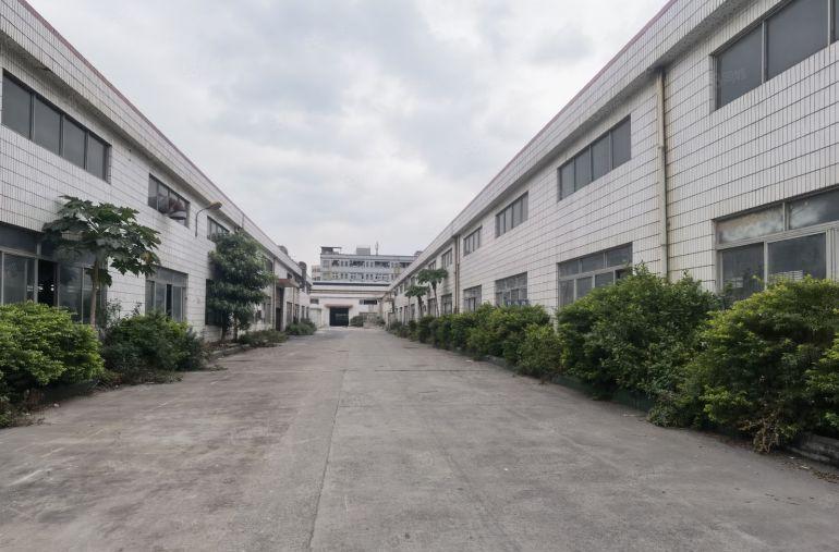 虎门树田工业区单一层滴水9米1500平米厂房出租适合机械设备