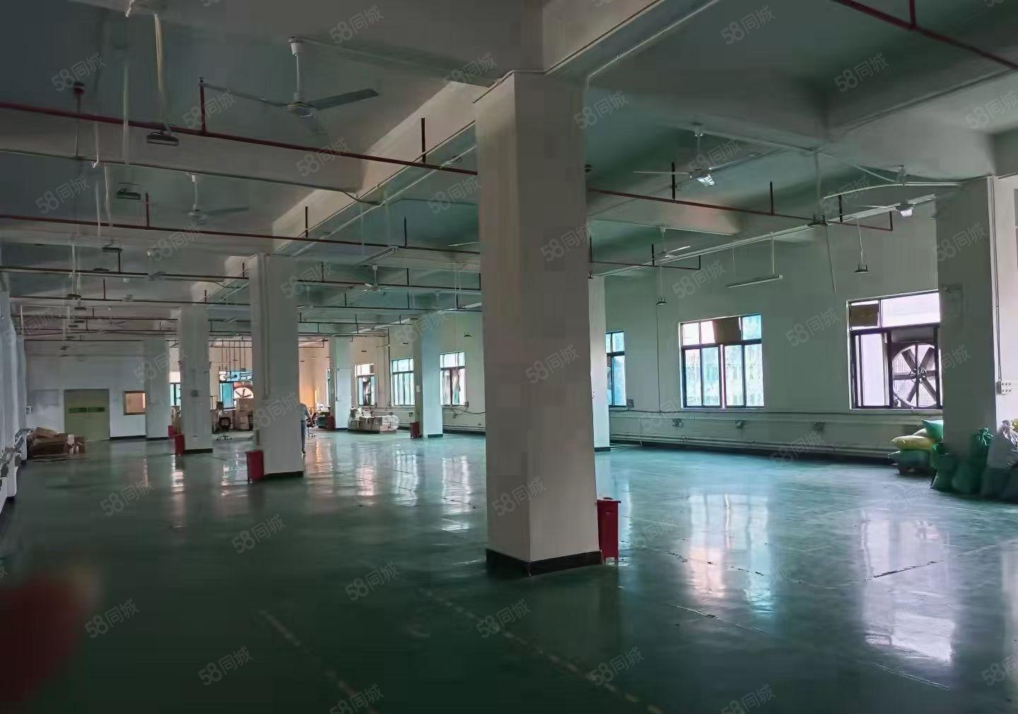 现成装修水电齐全，虎门镇怀德雅瑶新出五楼1250平米出租