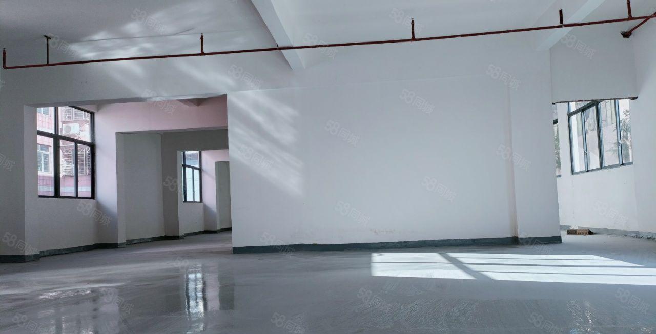 虎门 独院厂房不限电地坪漆可办环评