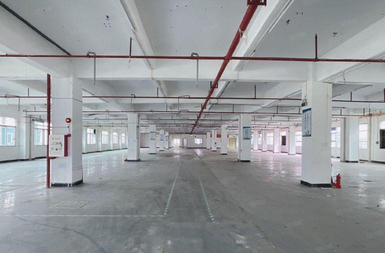 虎门原房东厂房出租 行车 独院 仓库出租 空地大 卸货平台