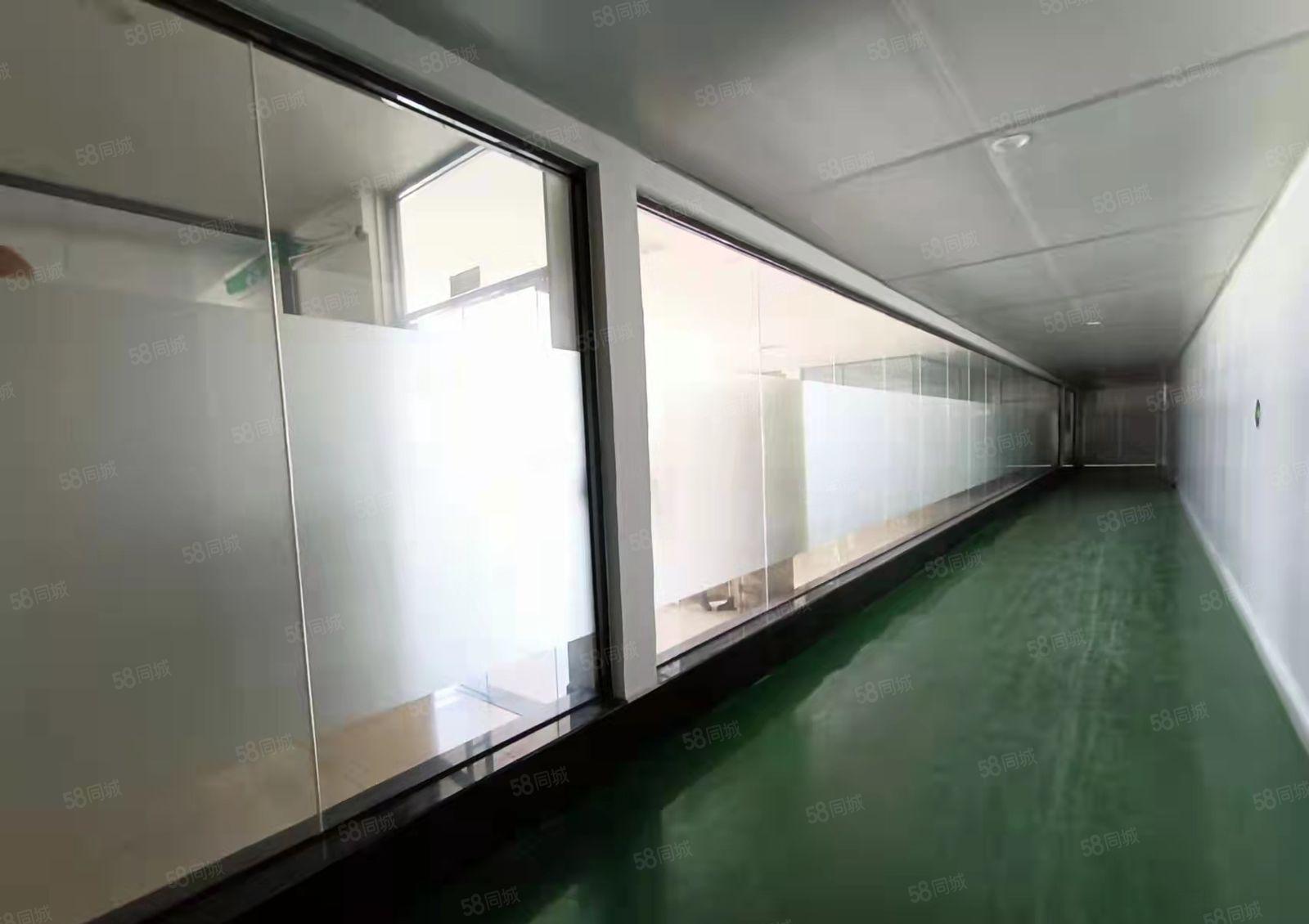 北栅独门独院四楼4500平厂房出租 无尘车间 水电办公室齐全