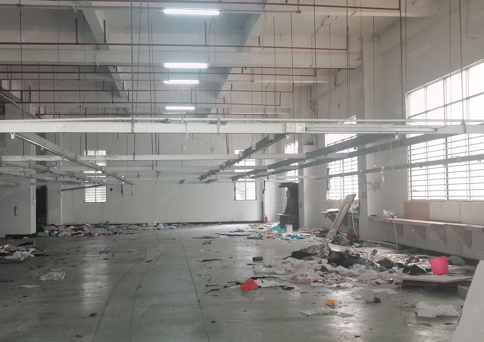 虎门龙眼新出独门独院带消防喷淋一楼1450平可办环评水电齐全