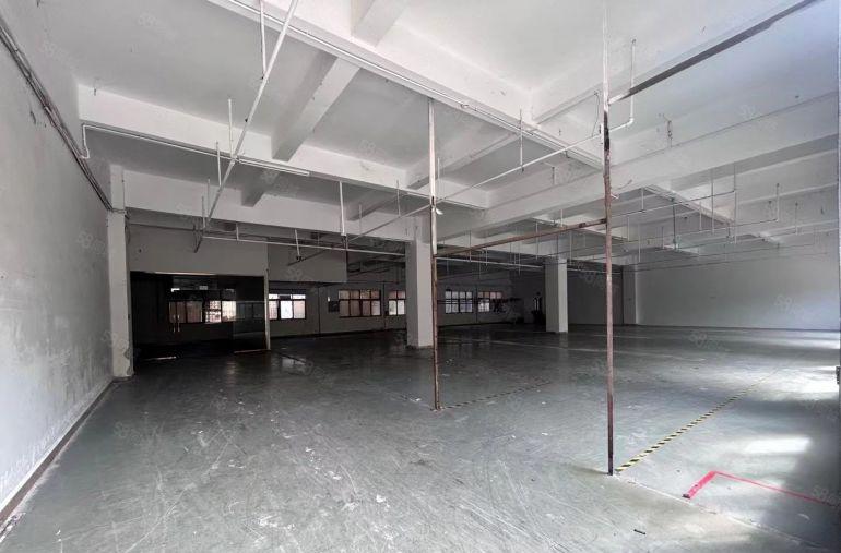 虎门本地房东独院标准厂房加宿舍工业用地可办环评通燃气